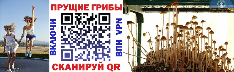Псилоцибиновые грибы ЛСД  Лыткарино 